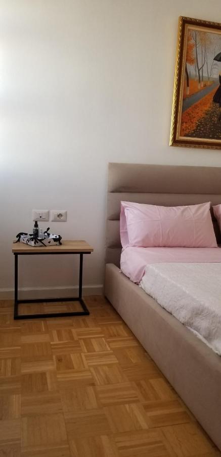 City Center Cute And Comfy Apartment - Ajia Apartments Tirana Eksteriør billede