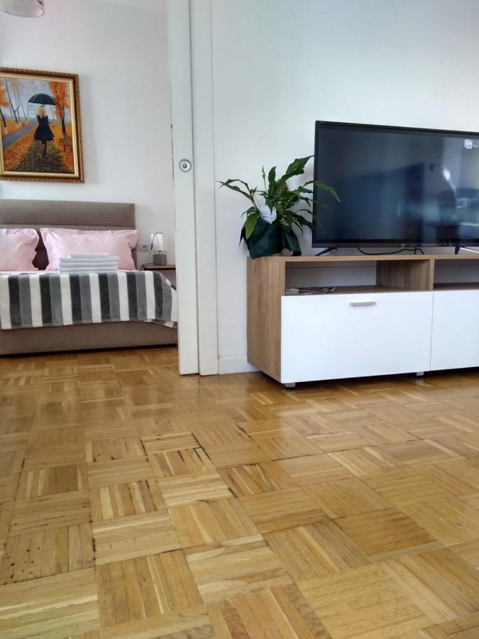 City Center Cute And Comfy Apartment - Ajia Apartments Tirana Eksteriør billede